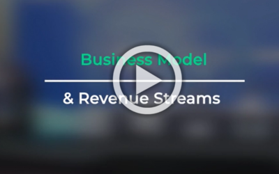 Business Model & Revenue Streams